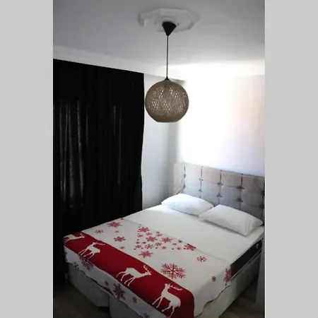 Full Mustakil Gol Manzarali Havuzlu Villa- Btk02 Sapanca